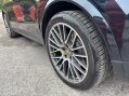 Porsche Cayenne 3.0 Cayenne V6 Platinum Edition E-Hybrid A 4WD 5dr 44