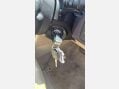 Ford Focus CC 2.0 CC-3 2dr 12