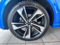 Ford Puma 1.0T EcoBoost MHEV ST-Line X Euro 6 (s/s) 5dr 19