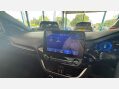 Ford Puma 1.0T EcoBoost MHEV ST-Line Euro 6 (s/s) 5dr 33