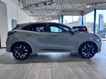 Ford Puma 1.0T EcoBoost MHEV ST-Line X Euro 6 (s/s) 5dr 3