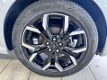 Ford Puma 1.0T EcoBoost MHEV ST-Line X Euro 6 (s/s) 5dr 19