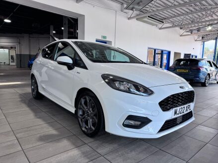 Ford Fiesta 1.0T EcoBoost MHEV ST-Line Edition Euro 6 (s/s) 5dr