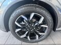 Ford Puma 1.0T EcoBoost MHEV ST-Line X Euro 6 (s/s) 5dr 18
