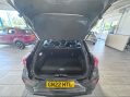 Ford Puma 1.0T EcoBoost MHEV ST-Line X Euro 6 (s/s) 5dr 43