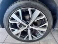 SEAT Arona 1.0 TSI XPERIENCE Lux DSG Euro 6 (s/s) 5dr 20