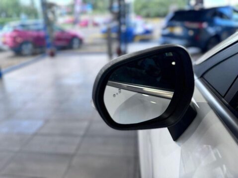 Ford Puma 1.0T EcoBoost MHEV ST-Line Vignale DCT Euro 6 (s/s) 5dr 37