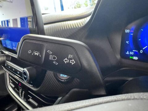 Ford Puma 1.0T EcoBoost MHEV ST-Line X Euro 6 (s/s) 5dr 29