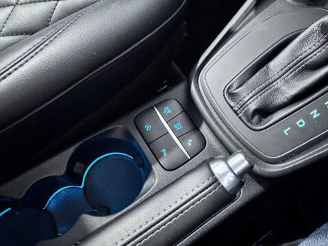 Ford Puma 1.0T EcoBoost MHEV ST-Line Vignale DCT Euro 6 (s/s) 5dr 27