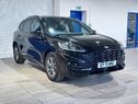 Ford Kuga 1.5T EcoBoost ST-Line Edition Euro 6 (s/s) 5dr