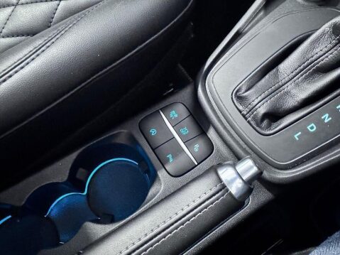 Ford Puma 1.0T EcoBoost MHEV ST-Line Vignale DCT Euro 6 (s/s) 5dr 27