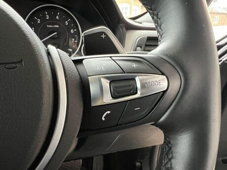 BMW 3 Series 2.0 320i M Sport Auto Euro 6 (s/s) 4dr 25