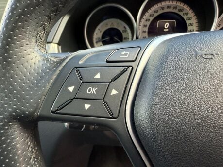 Mercedes-Benz E Class E220 BLUETEC SE PREMIUM 27