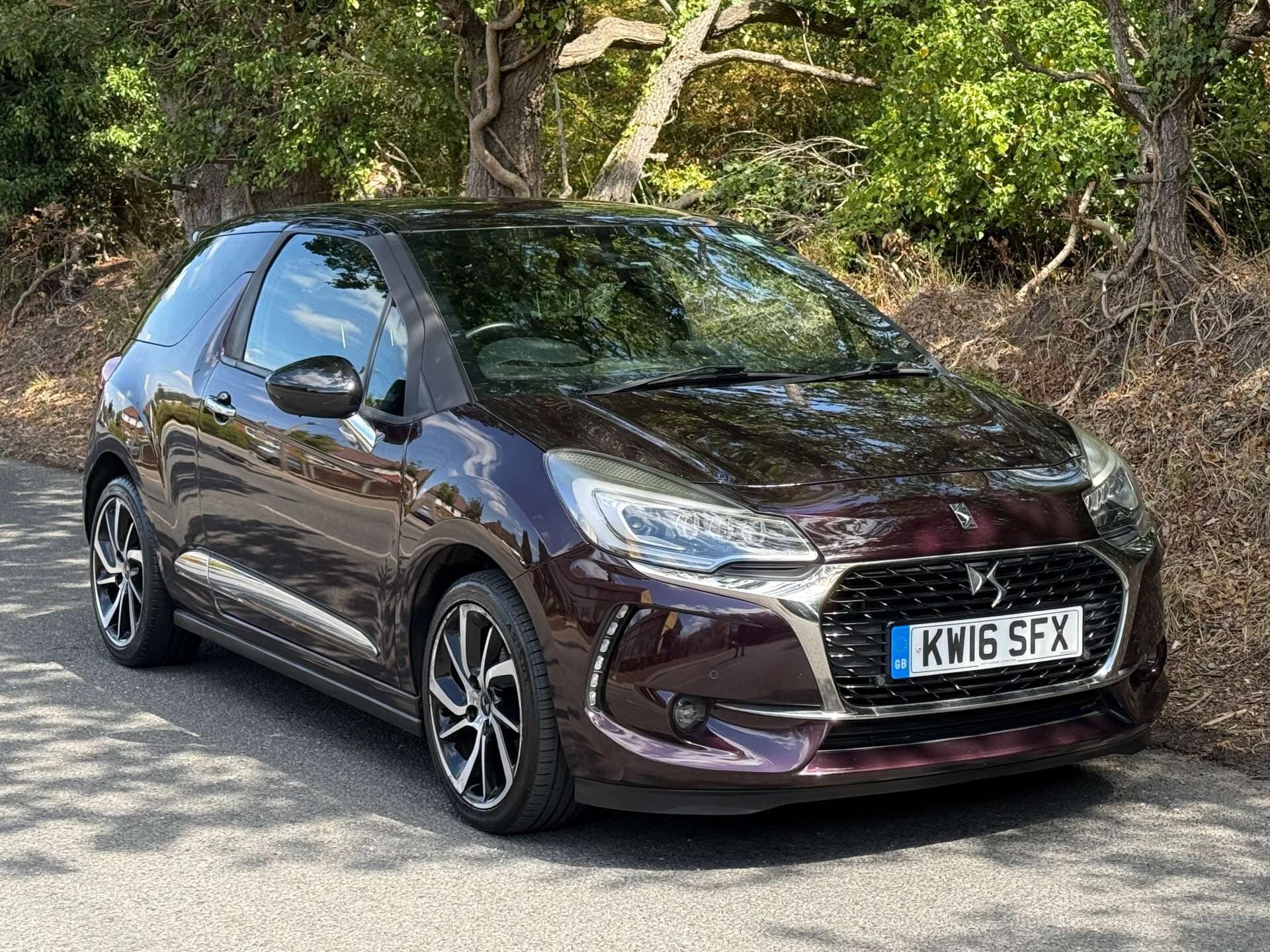 Ds Ds 3