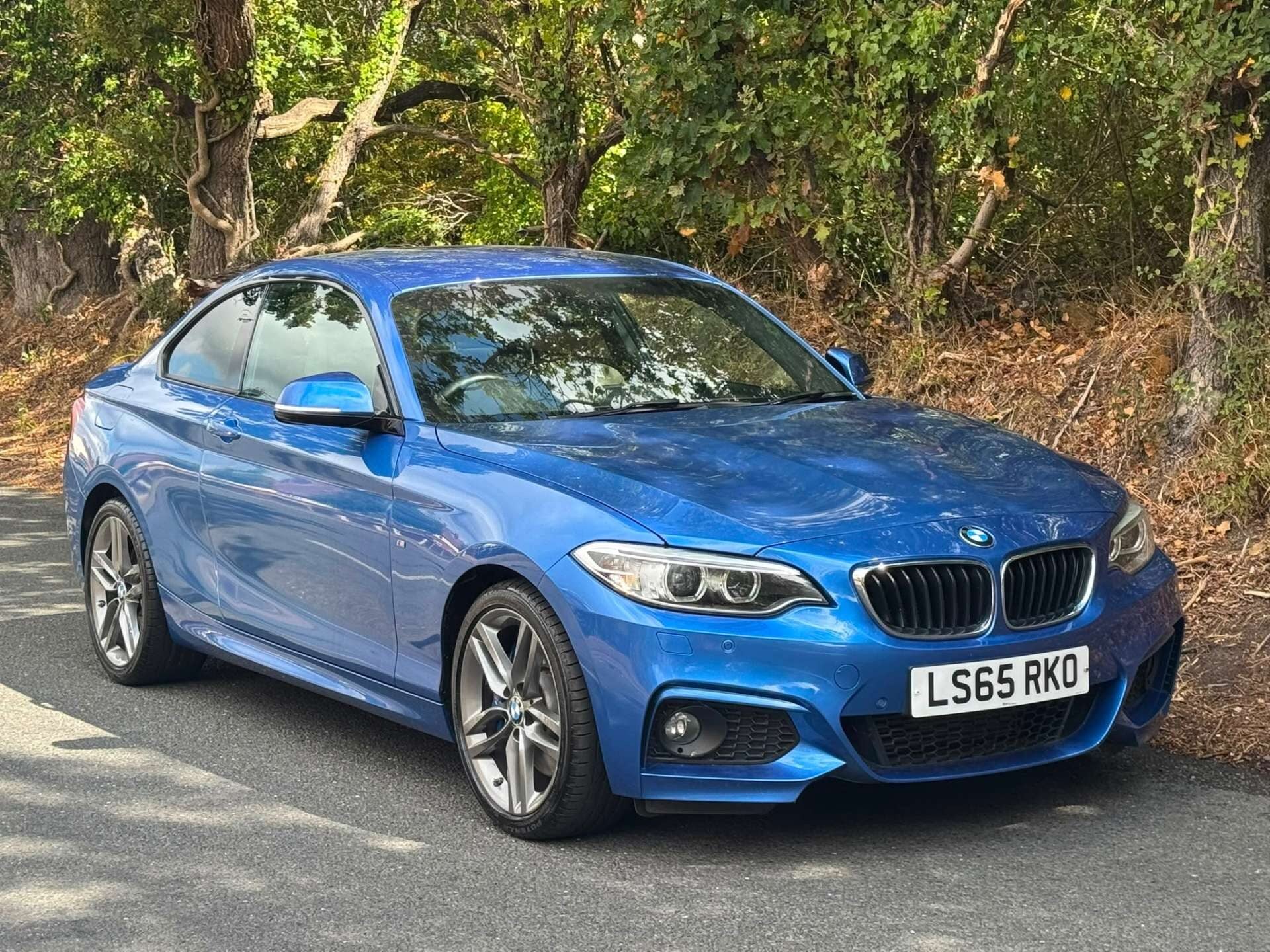 Bmw 2 Series