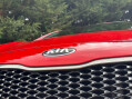 Kia Pro Ceed 1.6 CRDi GT-Line Hatchback 3dr Diesel Manual Euro 6 (s/s) (134 bhp) High Sp 13
