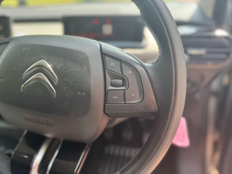 Citroen C4 Cactus 1.2 PureTech Flair 31
