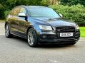 Audi SQ5 3.0 BiTDI V6 67