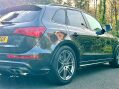Audi SQ5 3.0 BiTDI V6 60