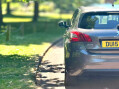 Peugeot 308 1.6 HDi Active 53