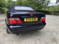 Mercedes-Benz CLK CLK230 KOMPRESSOR ELEGANCE 5
