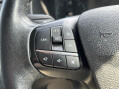 Ford Transit Custom 300 TRAIL L2H1 ECOBLUE 20