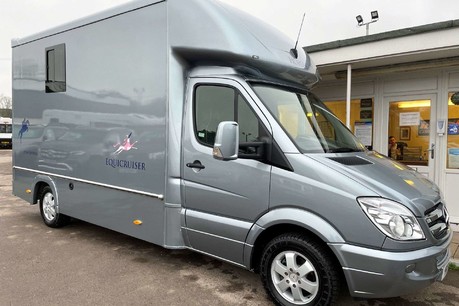 Mercedes-Benz Sprinter 316 Automatic Horse Box 4