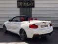 BMW 2 Series 3.0 M240i GPF Auto Euro 6 (s/s) 2dr 22