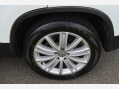 Volkswagen Tiguan MATCH EDITION TDI BMT 19