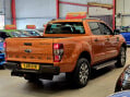 Ford Ranger WILDTRAK 4X4 DCB TDCI 5