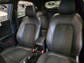 Ford Puma 1.0L PETROL ST-LINE X MHEV 19