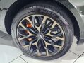 Aston Martin DBX 4.0 DBX V8 Auto 4WD 5dr 27