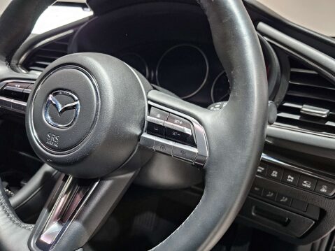 Mazda 3 2.0 3 GT Sport Tech MHEV Auto 5dr 37