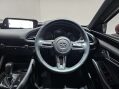Mazda 3 2.0 3 GT Sport Tech MHEV Auto 5dr 41