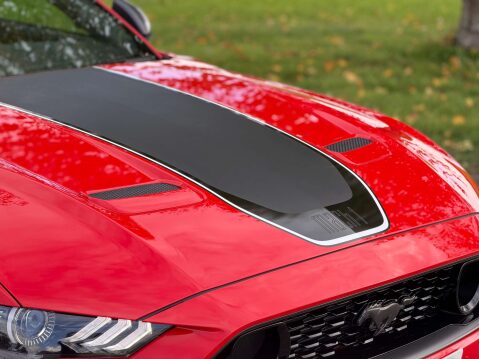 Ford Mustang 5.0 Mustang Mach 1 2dr 7