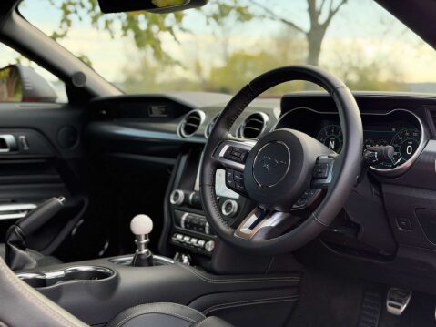 Ford Mustang 5.0 Mustang Mach 1 2dr 12