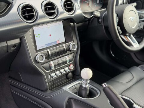 Ford Mustang 5.0 Mustang Mach 1 2dr 35