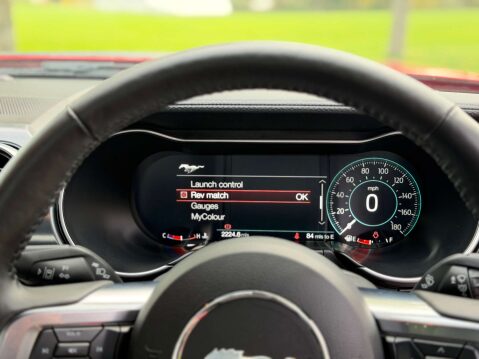 Ford Mustang 5.0 Mustang Mach 1 2dr 50