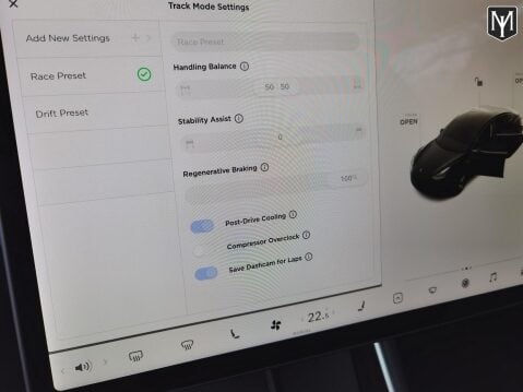 Tesla Model 3 Performance 19