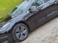 Tesla Model 3 Performance 61