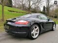 Porsche Cayman S 66