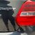 Suzuki Swift SZ5 BOOSTERJET 16