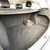 MG MG5 EV 53kWh EXCLUSIVE 17