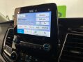 Ford Transit Custom 300 SWB Limited EcoBlue 17