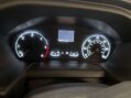 Ford Transit Custom 300 Limited EcoBlue 2.0 LWB L2H2 17