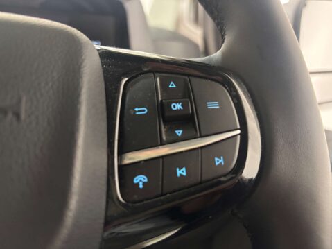 Ford Transit Custom 300 Limited EcoBlue A 2.0 SWB 20
