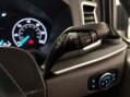 Ford Tourneo Custom 320 Titanium X MHEV 2.0 4dr 39