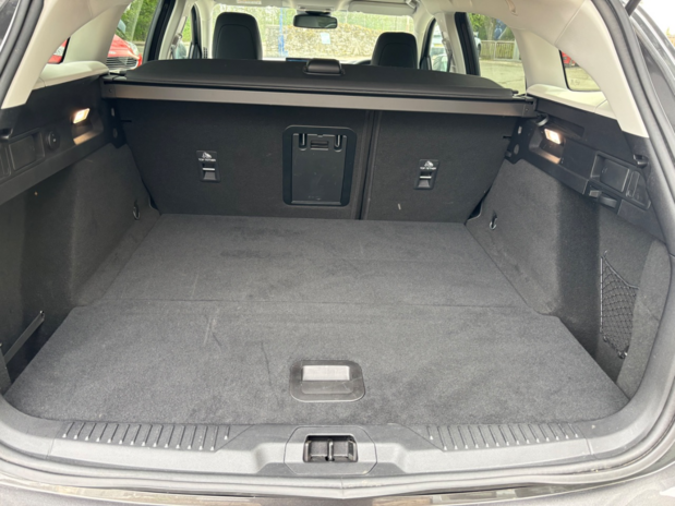 Ford Focus Active X Mhev Auto 14