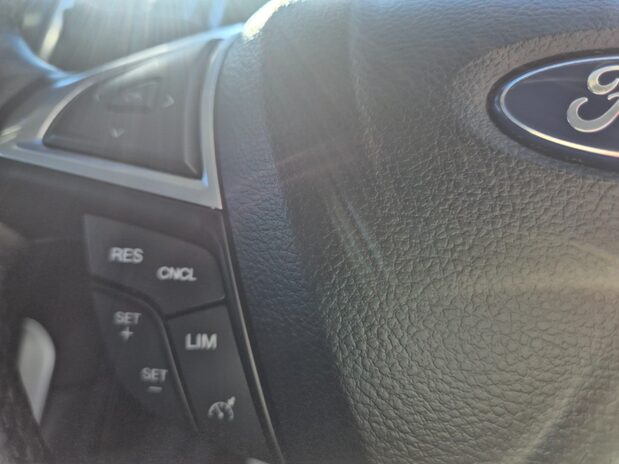 Ford Galaxy TITANIUM ECOBLUE 14