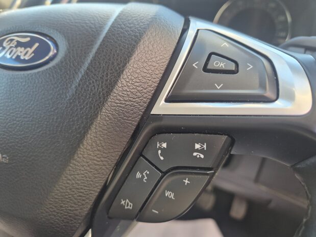 Ford Galaxy TITANIUM ECOBLUE 15